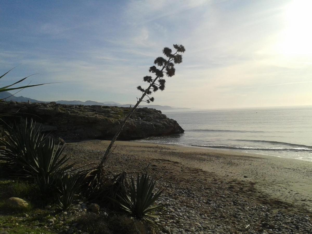 Bonito Y Tranquilo , Cerca Del Mar.